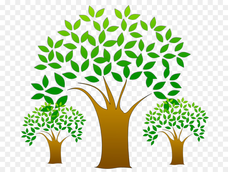 Arbre，Feuilles PNG