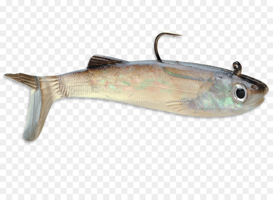 Poisson Coloré，Aquatique PNG