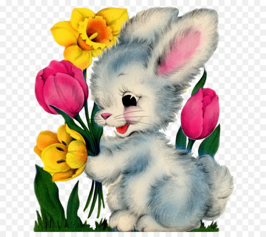 Lapin Mignon，Lapin PNG