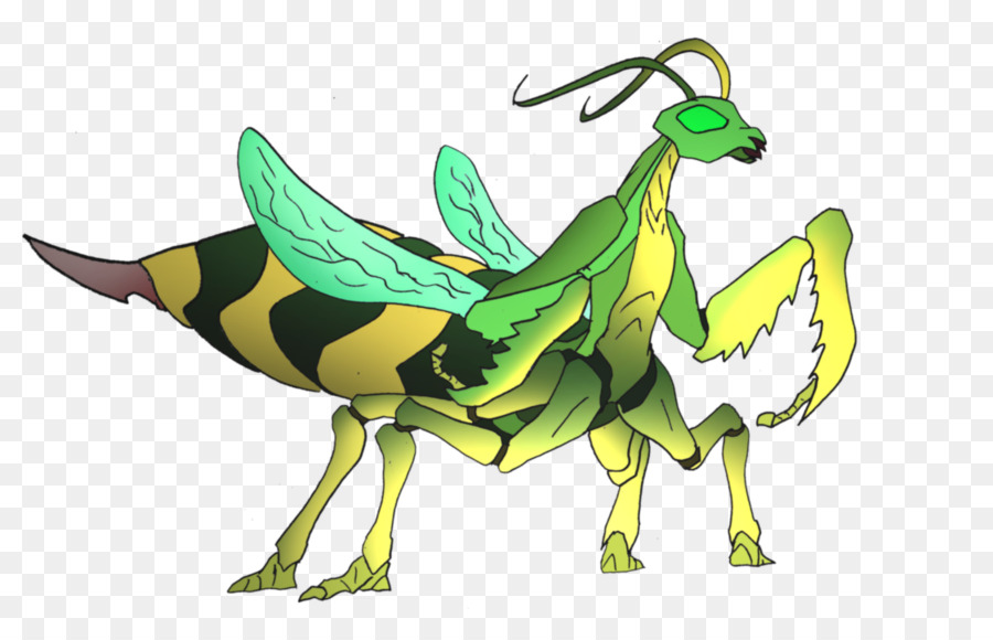 Insecte Vert，Ailes PNG