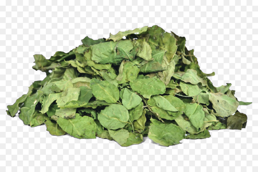 Feuilles Séchées，Herbes PNG