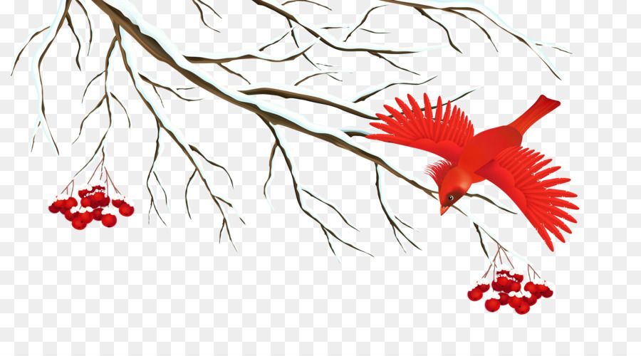 Oiseau Rouge，Cardinal PNG