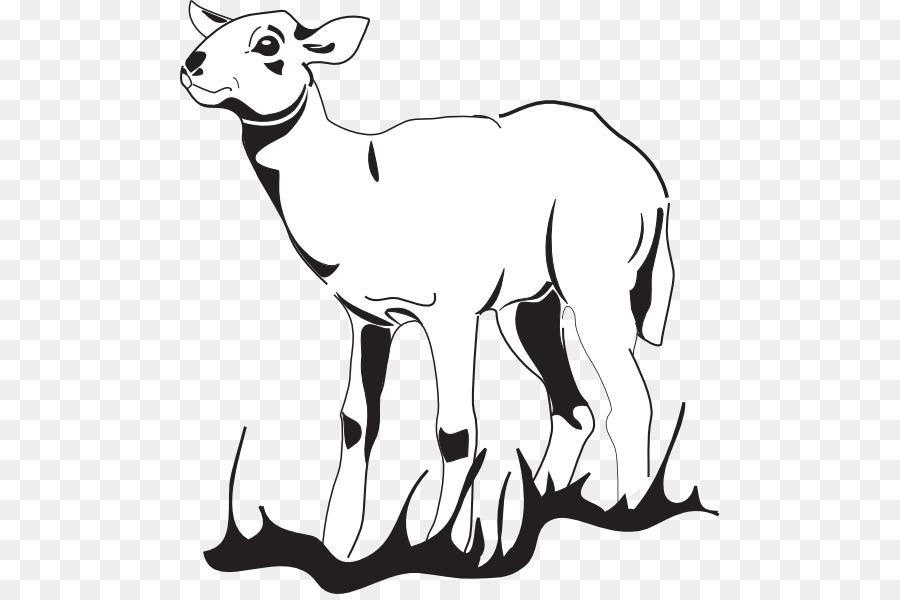 Mouton，Agneau PNG