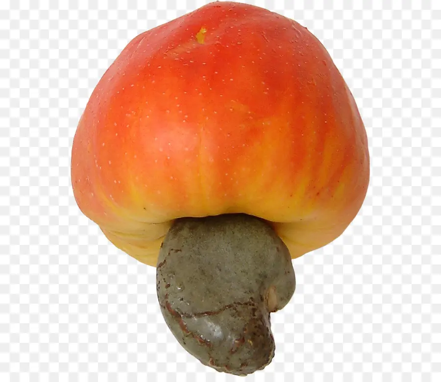 Fruits De Noix De Cajou，Noix PNG