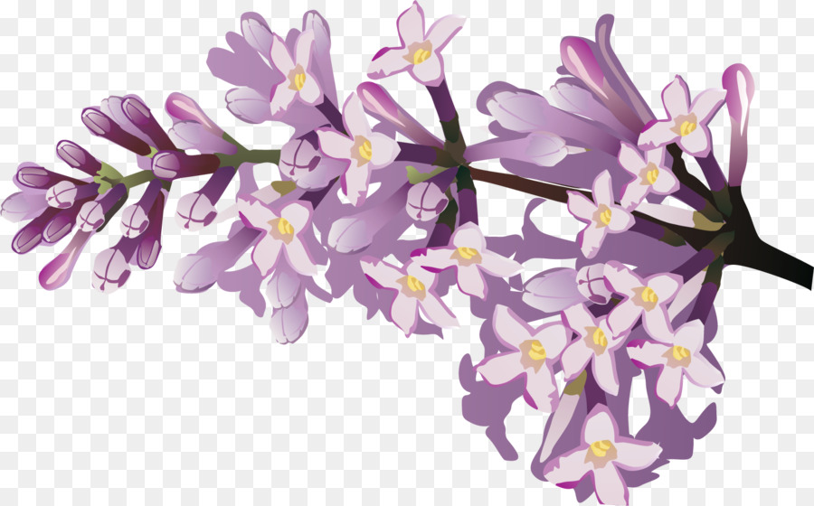 Fleurs Violettes，Fleurir PNG