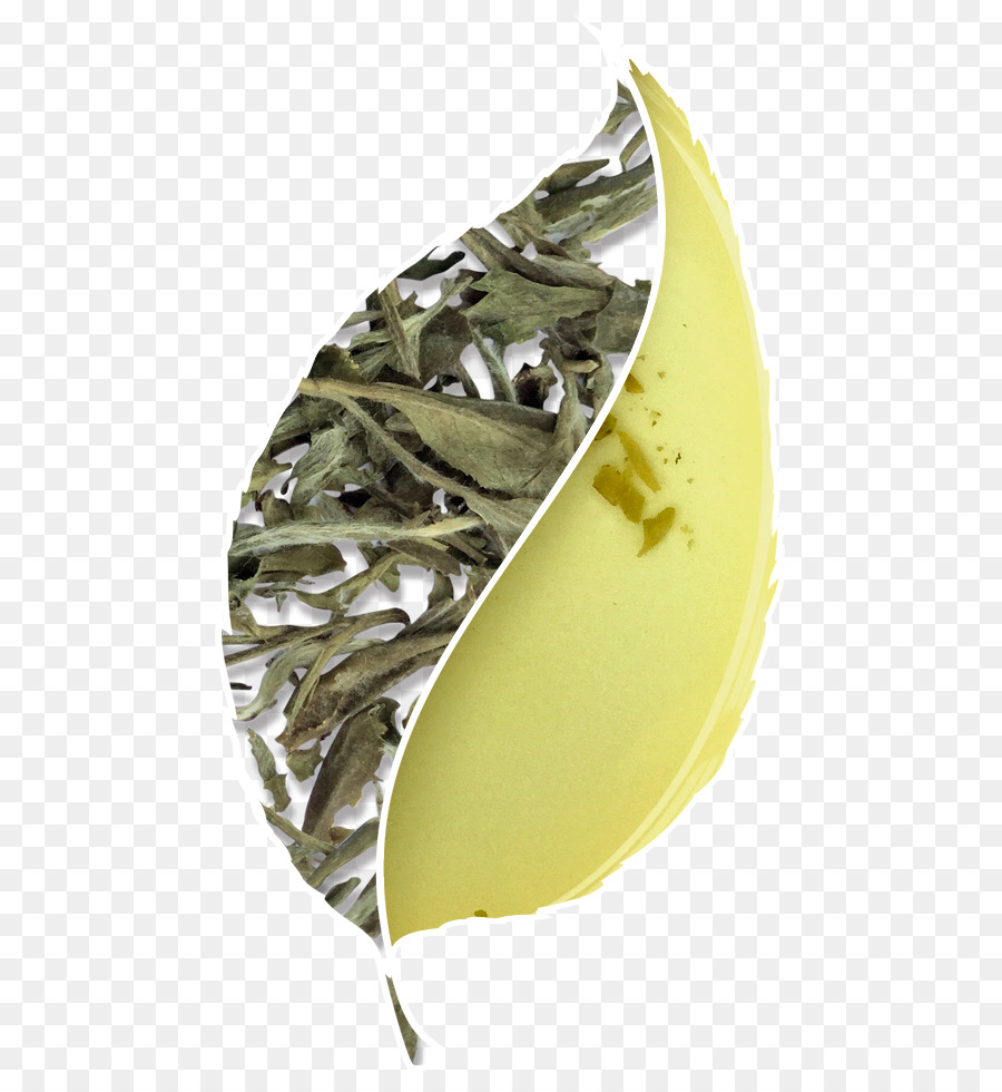 Feuille， PNG
