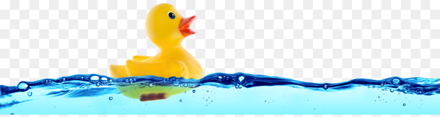 Canard En Caoutchouc，Bain PNG