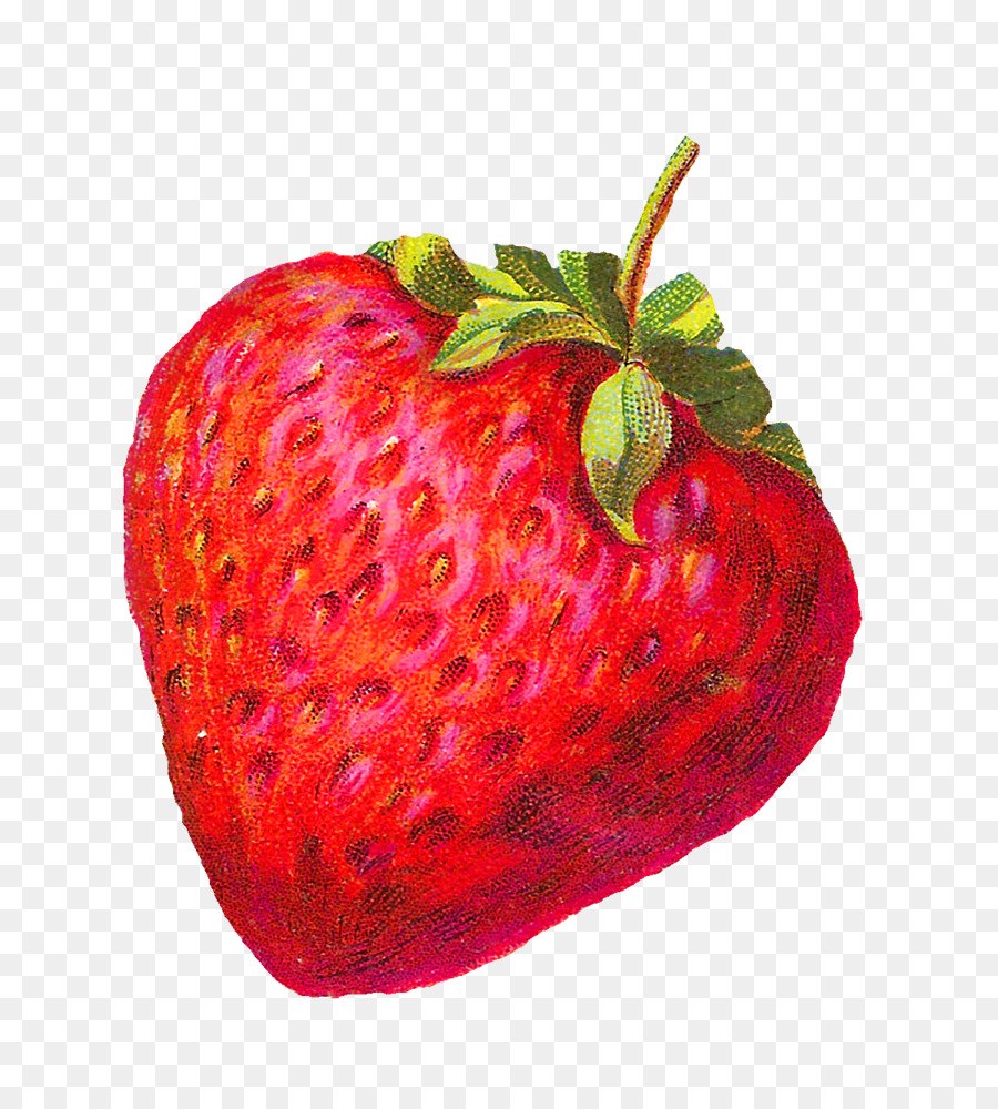 Fraise，Shortcake PNG