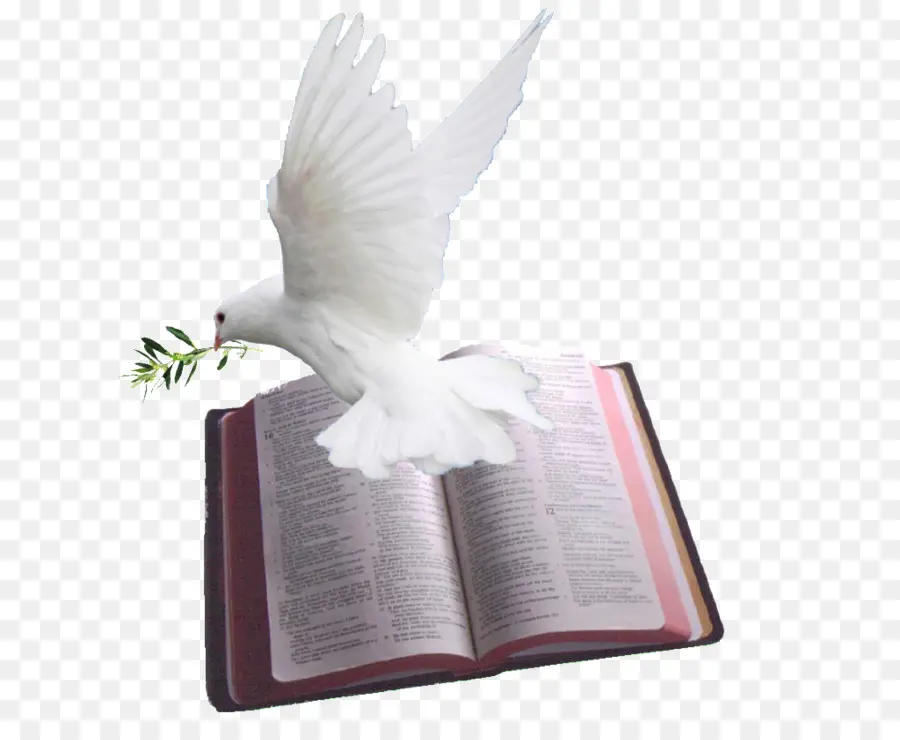 Bible，Psaumes PNG