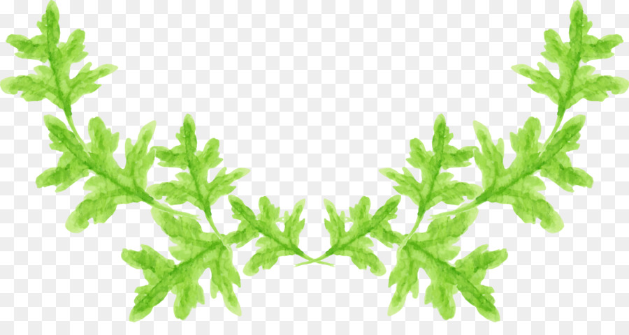 Herbe，Feuille PNG