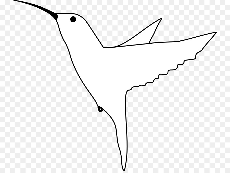 Oiseau Volant，Ailes PNG