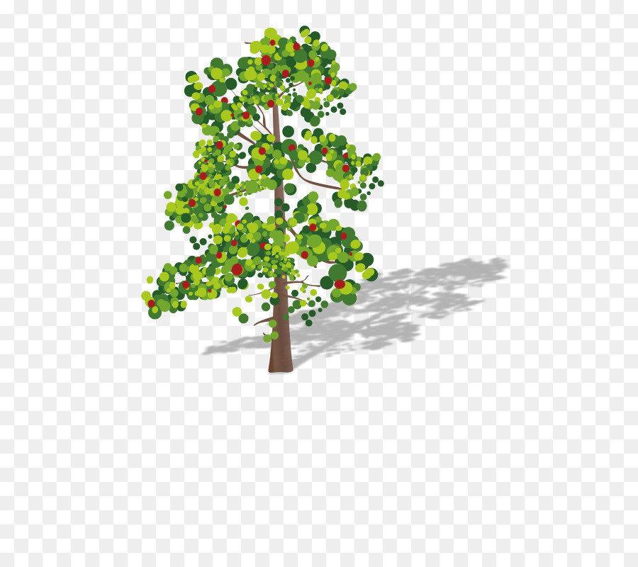 Arbre，Feuilles PNG