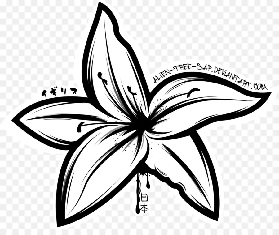 Dessin De Fleur，Floral PNG