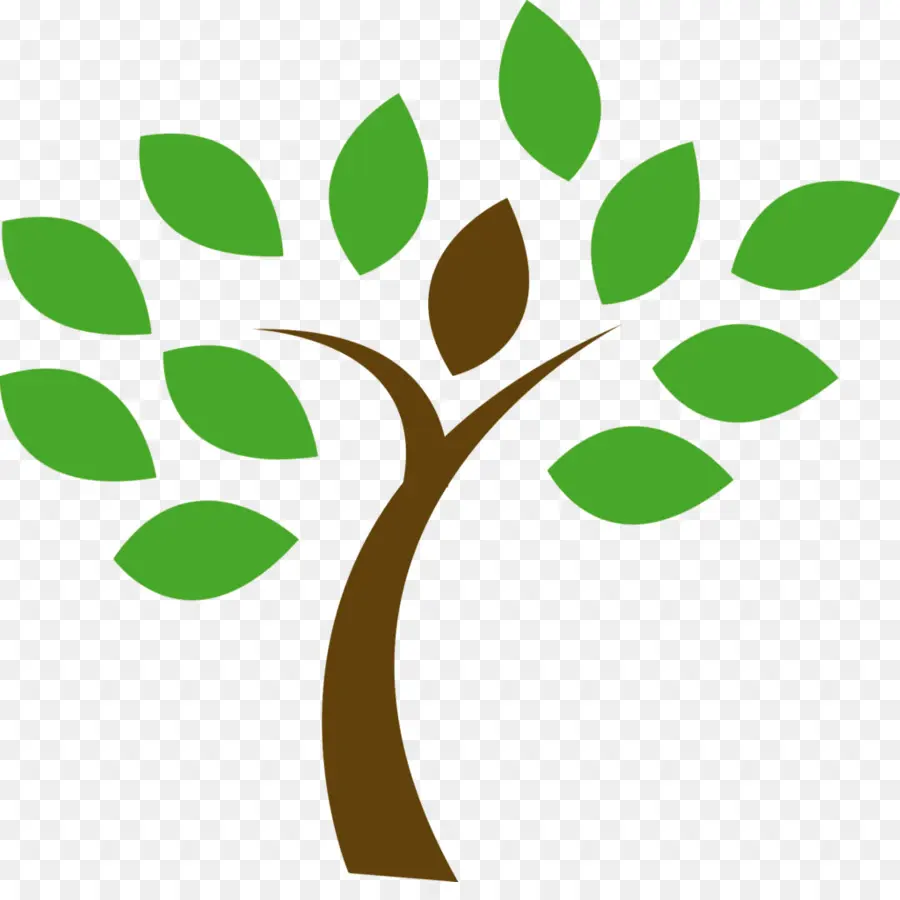 Arbre Avec Personne，Feuilles PNG