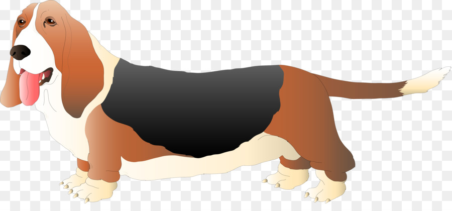 Basset Hound，Beagle PNG