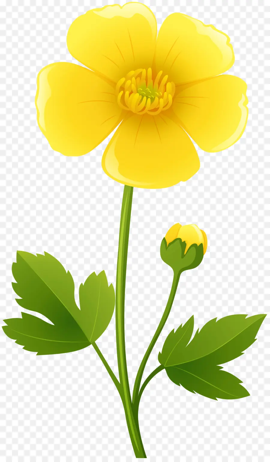 Fleur，Dotant PNG