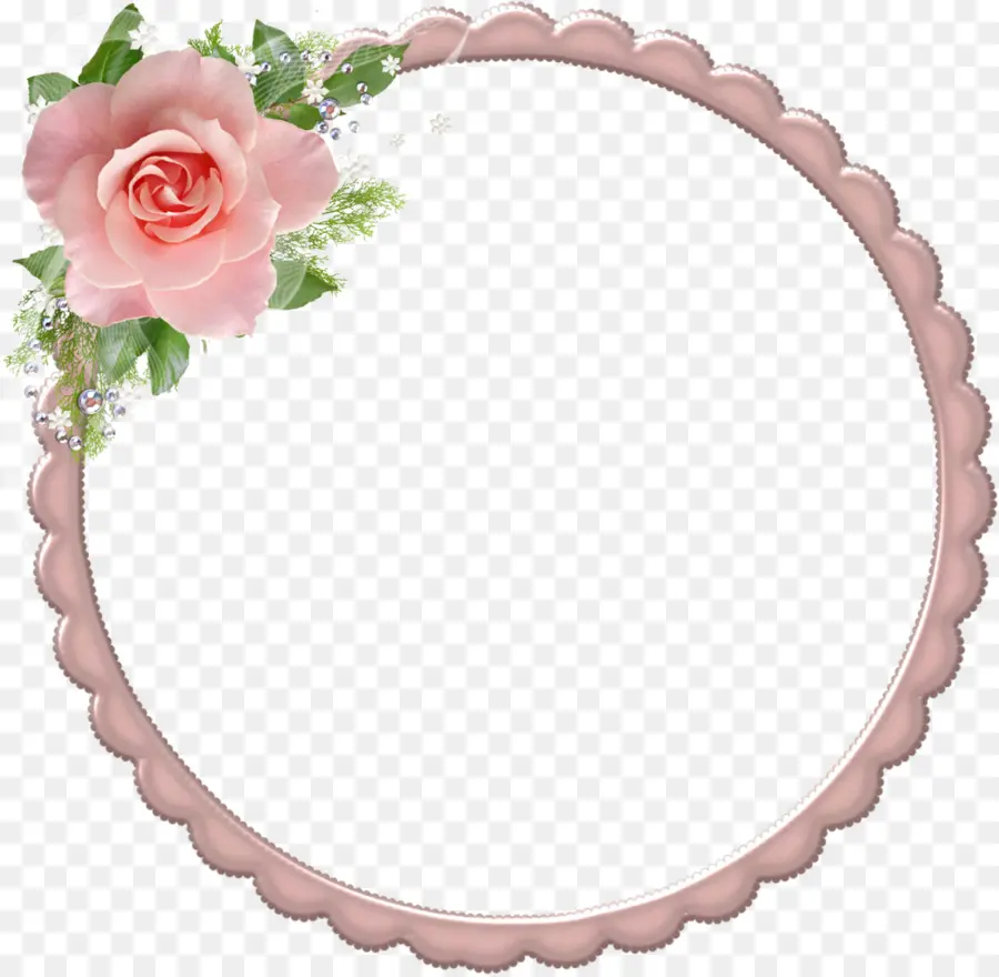 Cadre Rose Rouge，Rose PNG