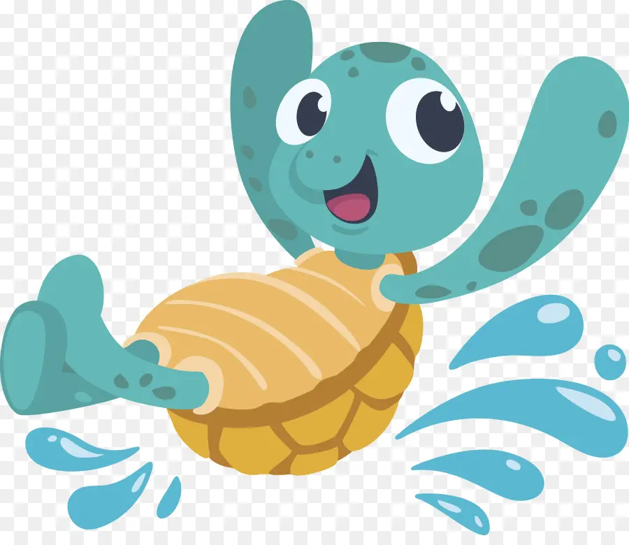 Tortue，Dessin Animé PNG