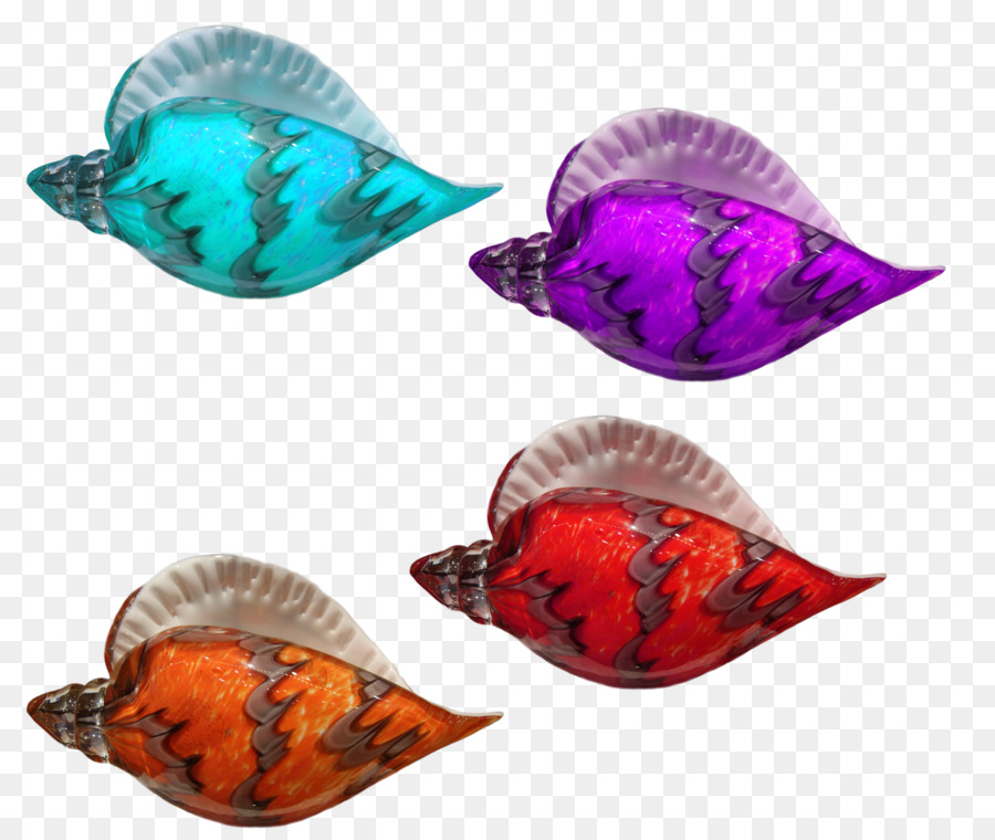 Coquillage，Couleur PNG