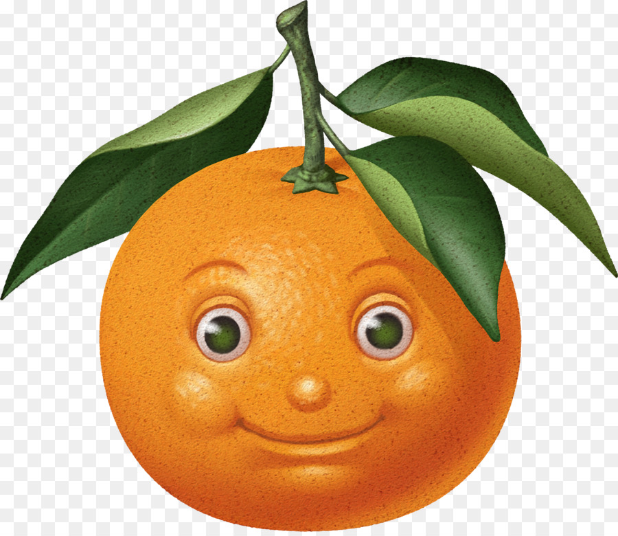 Orange，Fruit PNG