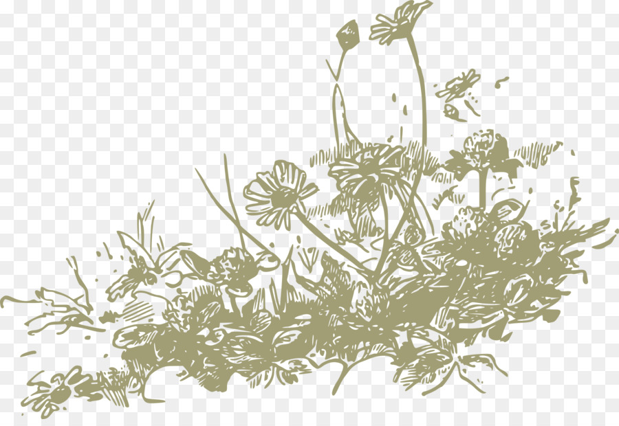 Fleurs Sauvages，Fleur PNG