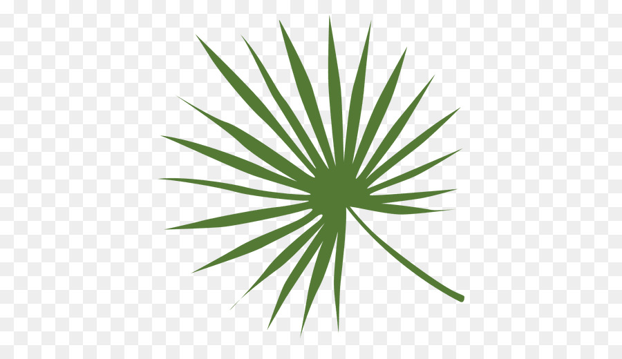 Palme，Vert PNG