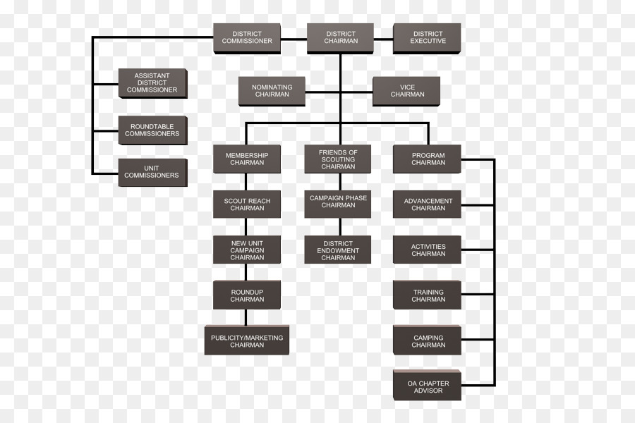 Organigramme，Structure PNG