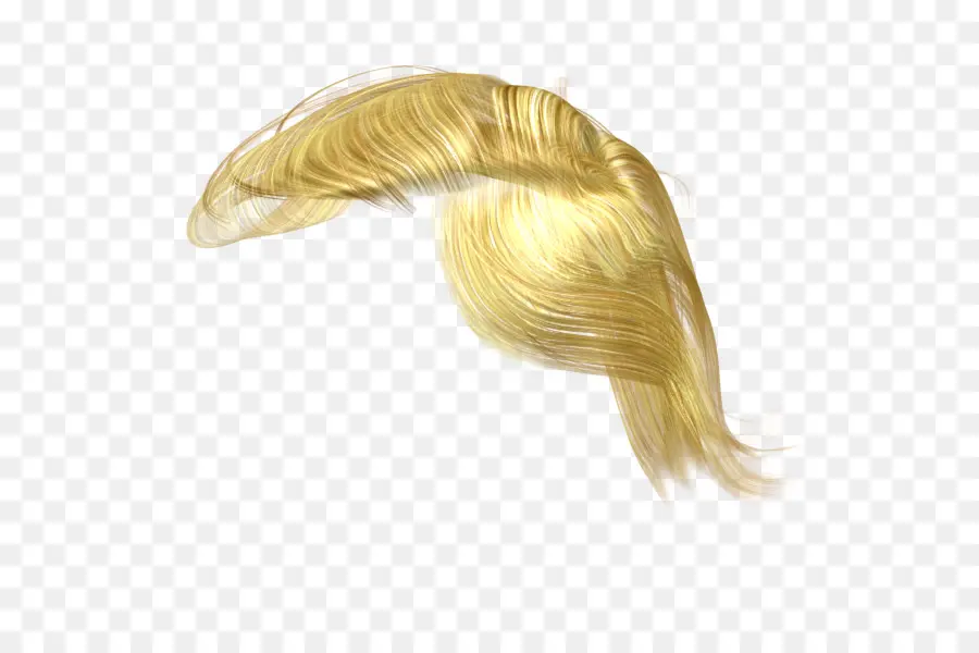 Perruque Blonde，Cheveux PNG