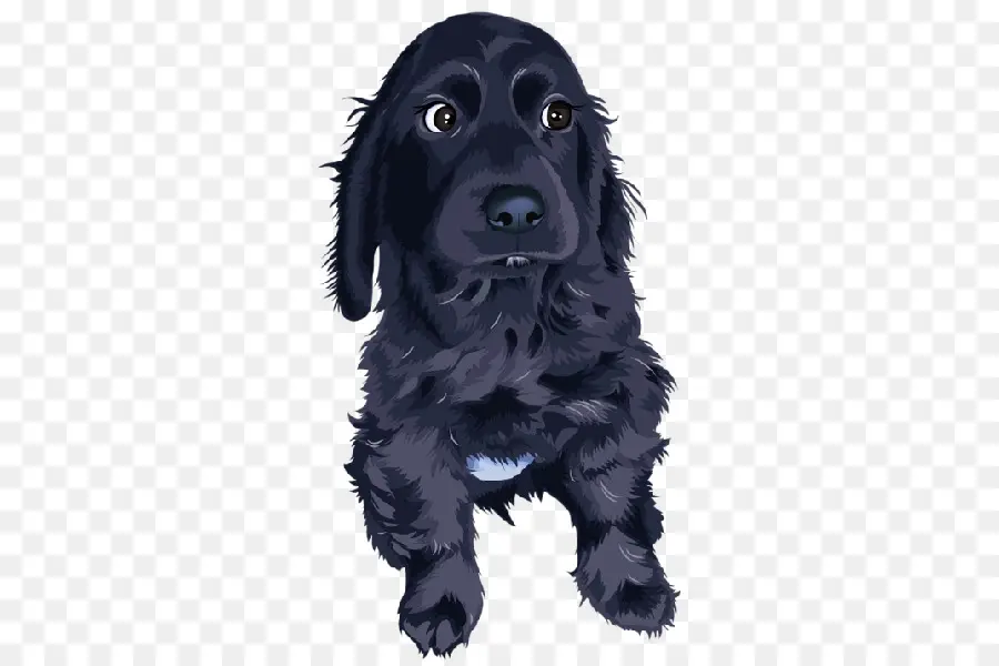 Chien Noir，Animal De Compagnie PNG