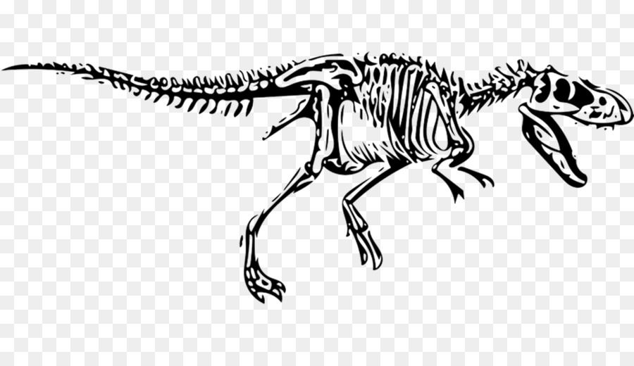 Tyrannosaurus，Vélociraptor PNG
