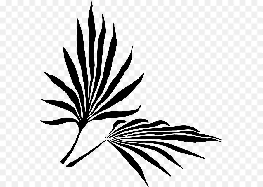 Palme，Usine PNG