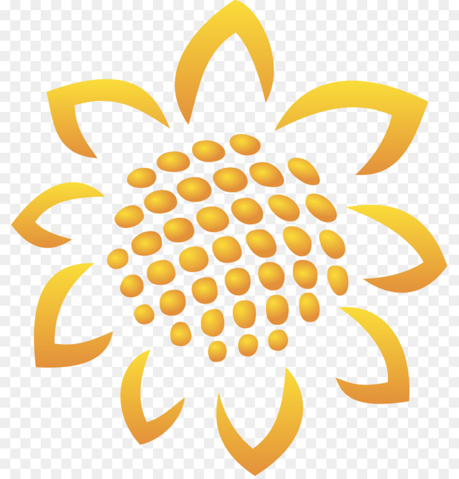 Commune De Tournesol，La Graine De Tournesol PNG