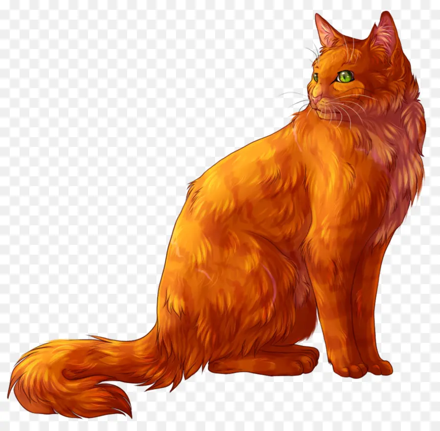 Chat Orange，Félin PNG