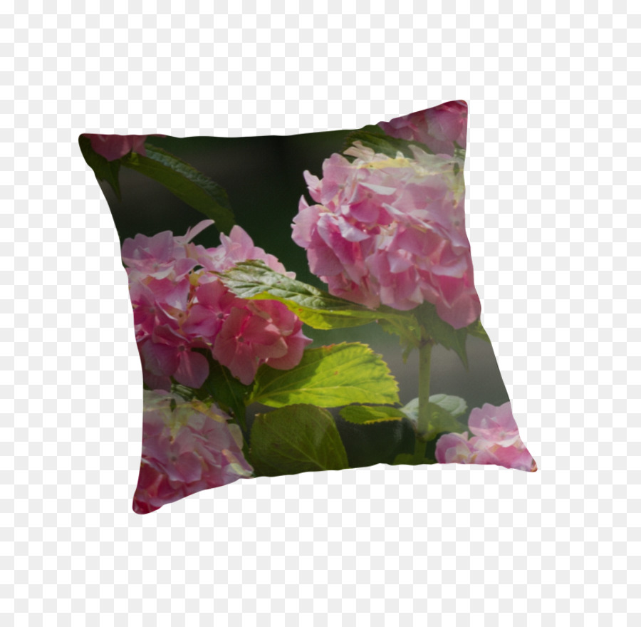 Les Coussins，Coussin PNG