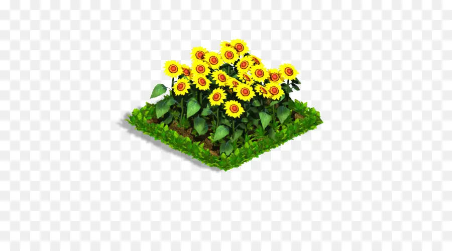 Flowerpot，Plante Annuelle PNG