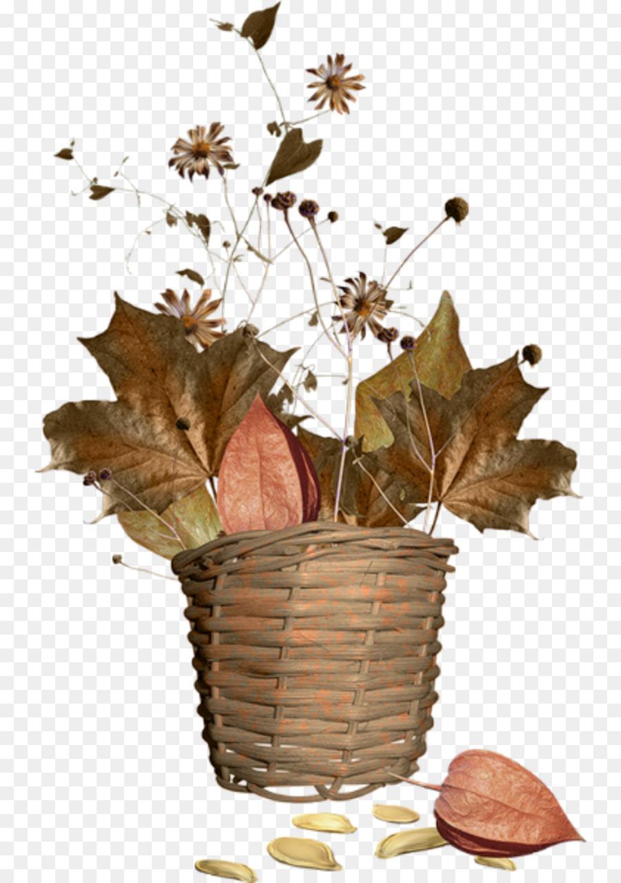 Fleurs Séchées，Panier PNG