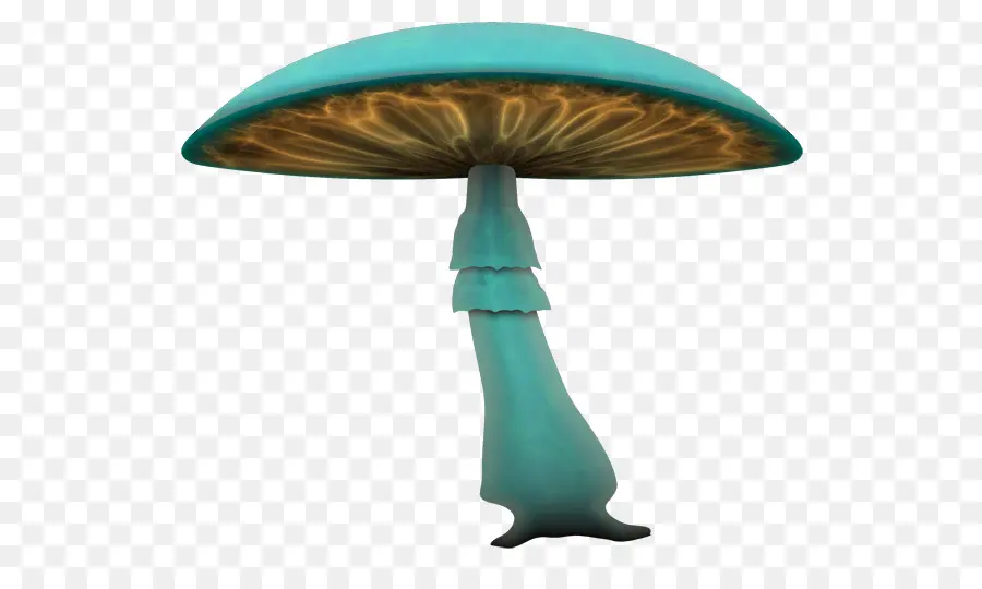 Champignon Bleu，Champignon PNG