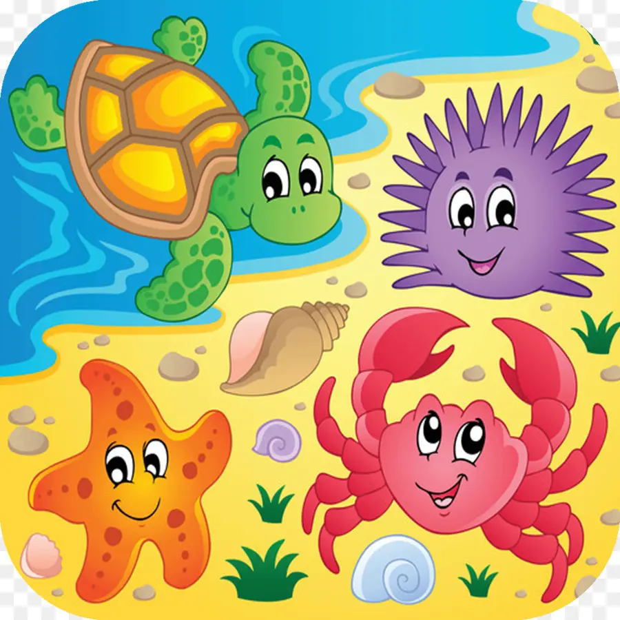 Créatures Marines，Mer PNG