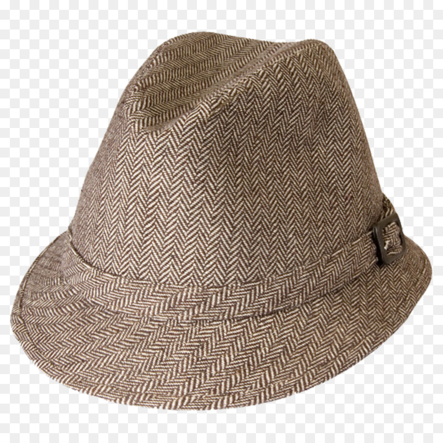 Chapeau Fedora，Brun PNG