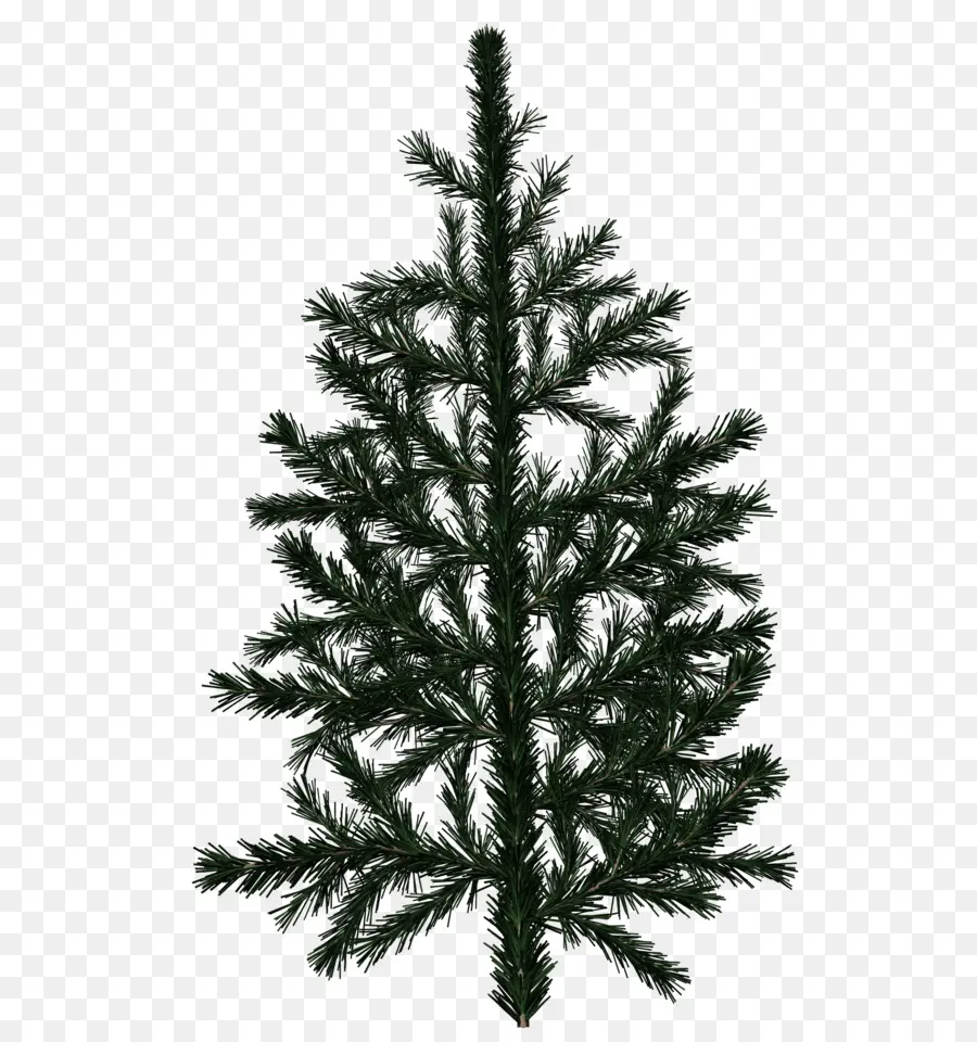 Arbre De Noël，Pin PNG