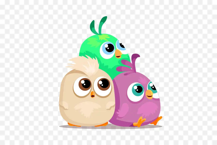 Oiseaux Mignons，Coloré PNG