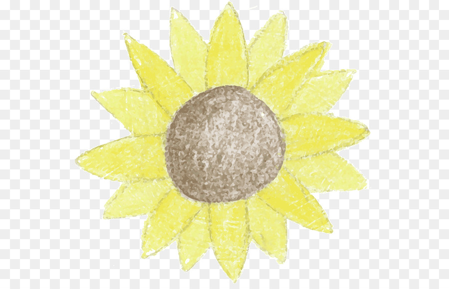 Miniature，Commune De Tournesol PNG