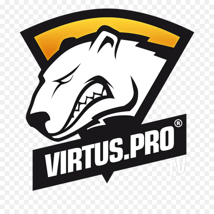 Ours，Virtus Pro PNG