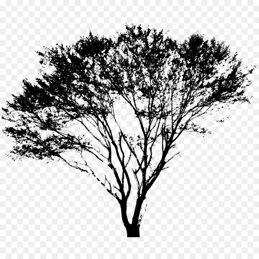 Arbre，Silhouette PNG