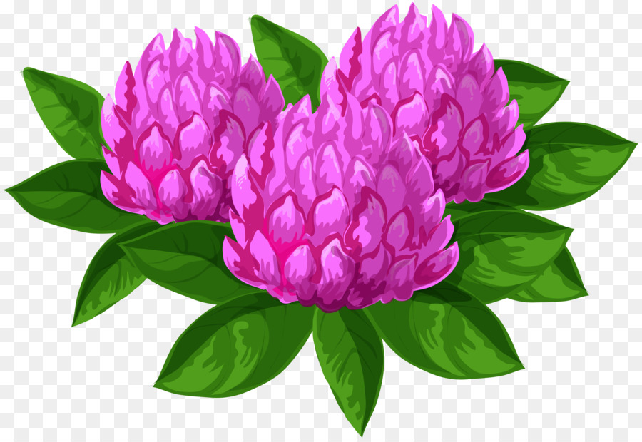 Fleurs，Rose PNG