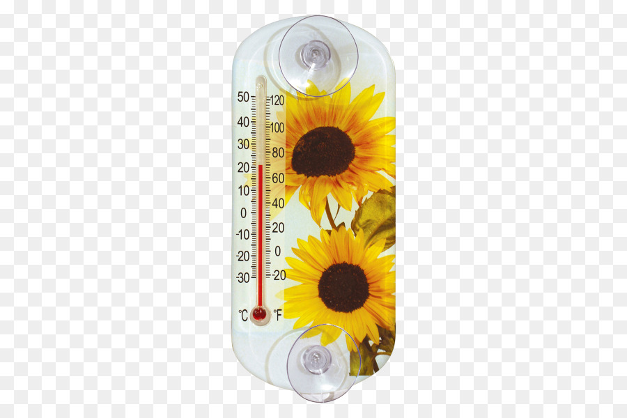 Commune De Tournesol，La Graine De Tournesol PNG