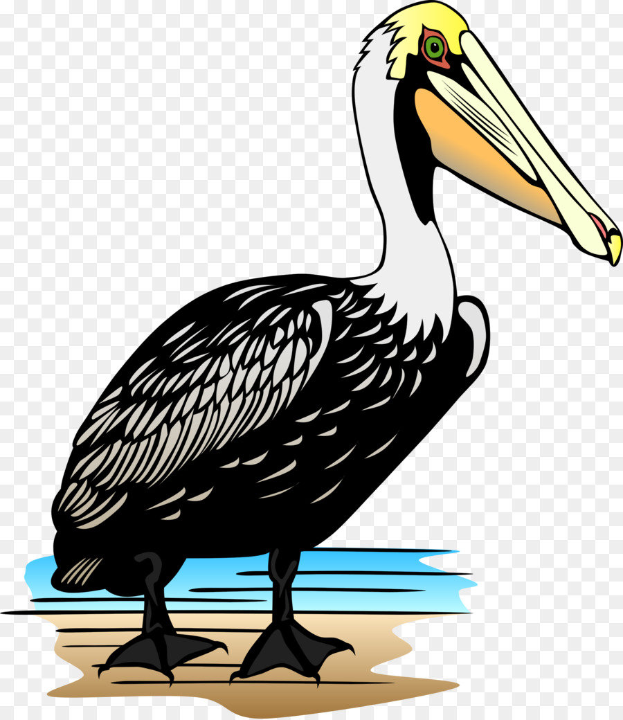 Pelican，Ordinateur Icônes PNG