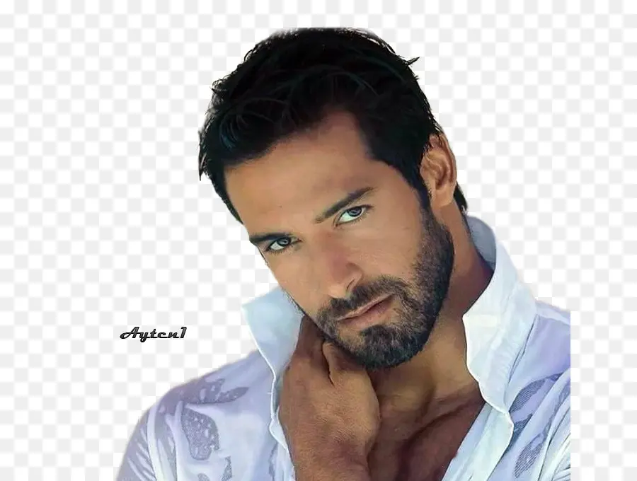 Homme，Barbe PNG