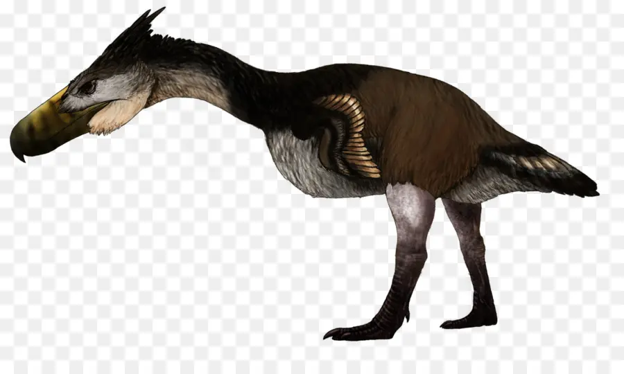 Utahraptor，Dinosaure PNG