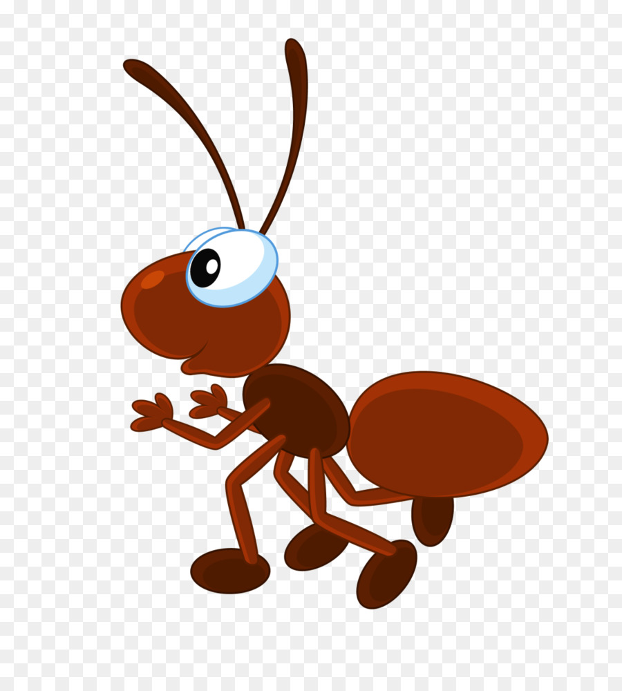 Fourmi Rouge，Insecte PNG